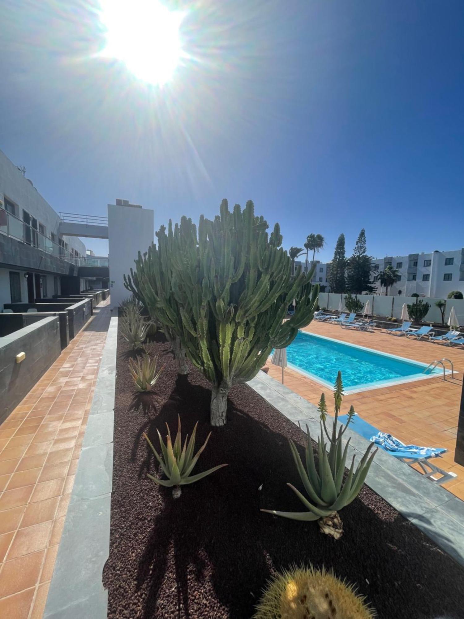 Ferienwohnung Sunrise Corralejo Exterior foto